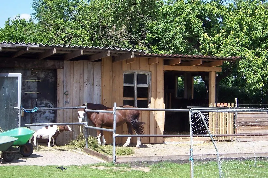 מלון Oberbechingen Landhotel Zum Adler